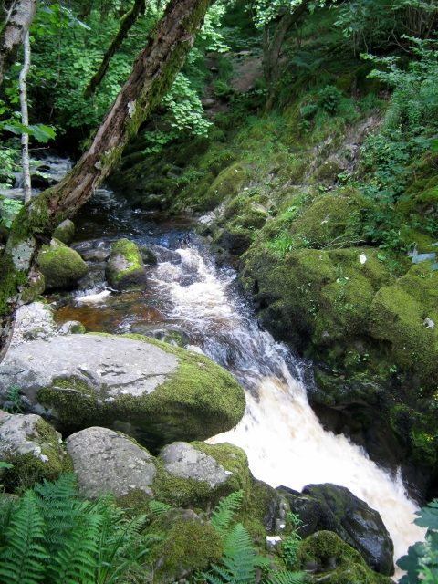 IMG_4942Aira Force (480x640)