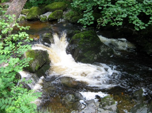 IMG_4943Aira Force (640x480)