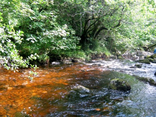 IMG_4952Aira Force (640x480)