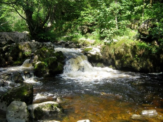 IMG_4953Aira Force (640x480)