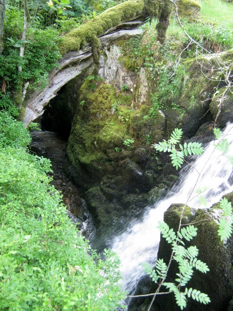 IMG_4973Aira Force (480x640)