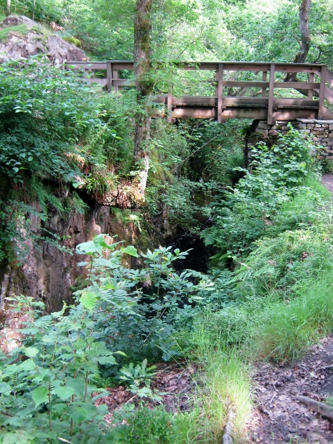 IMG_4974Aira Force (480x640)