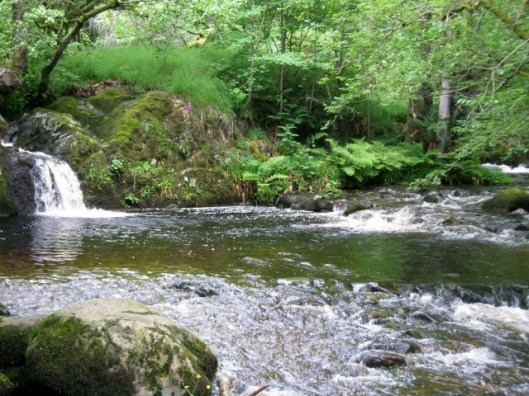 IMG_4983Aira Force (640x480)