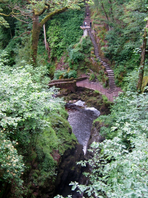 IMG_5017Aira Force (480x640)