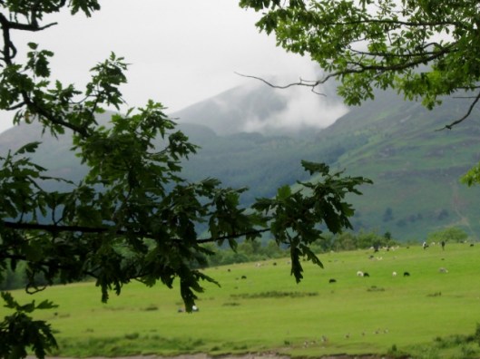 IMG_5051Fells by Derwentwater (640x480)