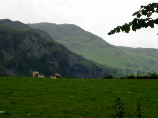 IMG_5056Fells next to Derwentwater (640x480)