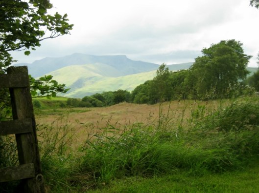 IMG_5260Fell view (640x480)