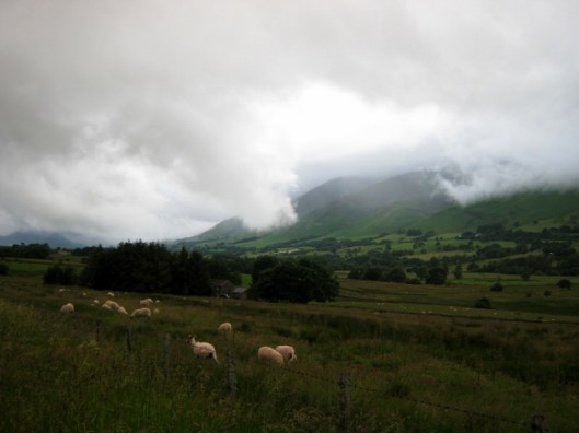 IMG_5060Low cloud (640x480)