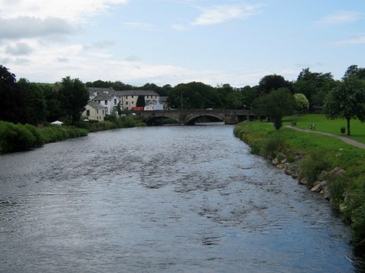 IMG_5079R Cocker (640x480)