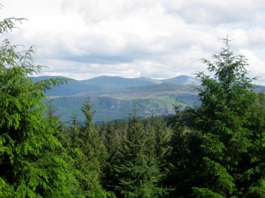 IMG_5081Whinlatter (640x480)