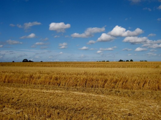 IMG_5290View across field (640x476)