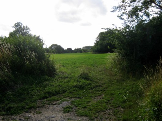 IMG_5310Field view (640x479)