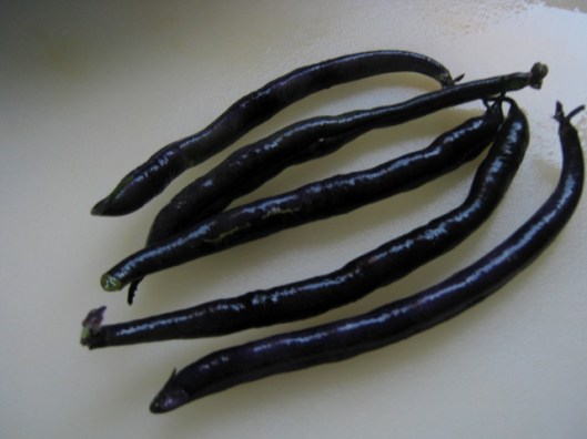 IMG_5322Purple beans (640x480)