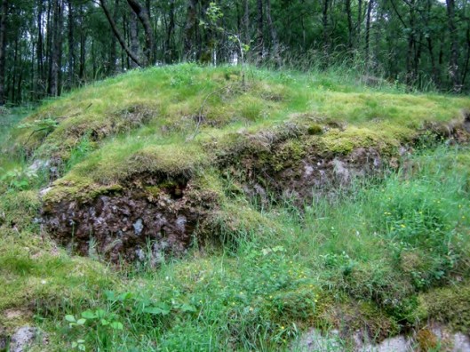 IMG_5159Mossy outcrop