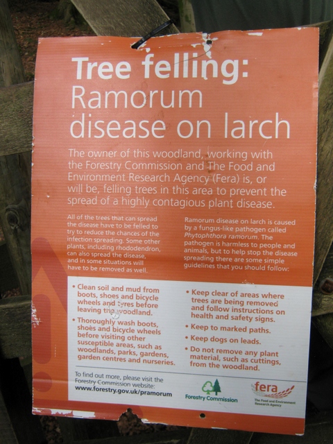 IMG_5210Ramorum sign