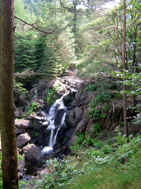 IMG_5217Dobgill falls