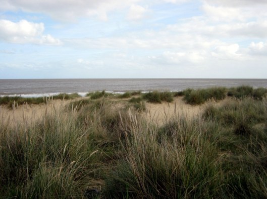 Sand Dunes