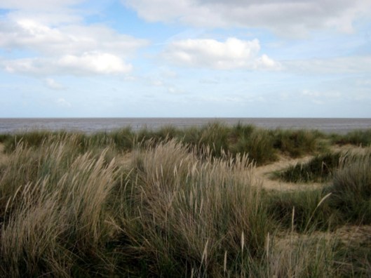 Sand Dunes