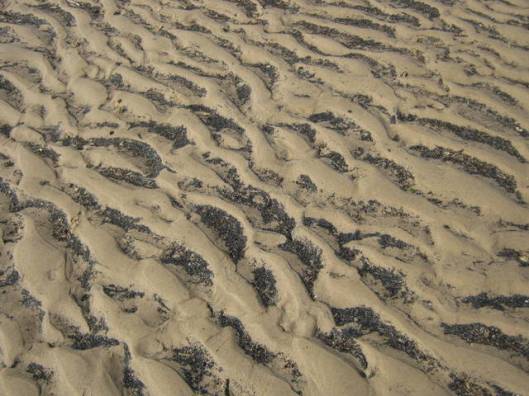 Sand with crushed shells