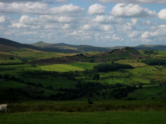 IMG_5346View from top road