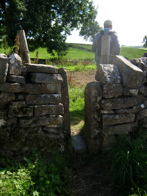 IMG_5350Squash stile