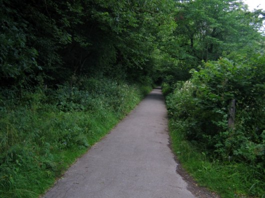 IMG_5399Former railway line