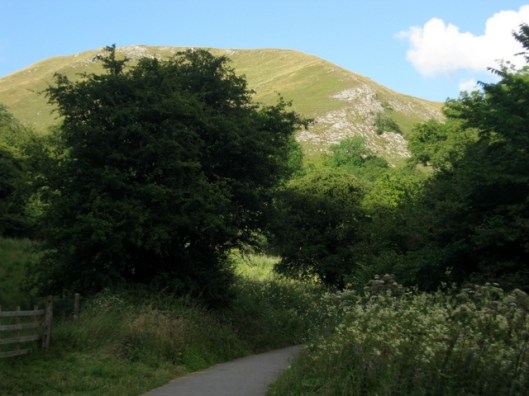 IMG_5400View of hill from path