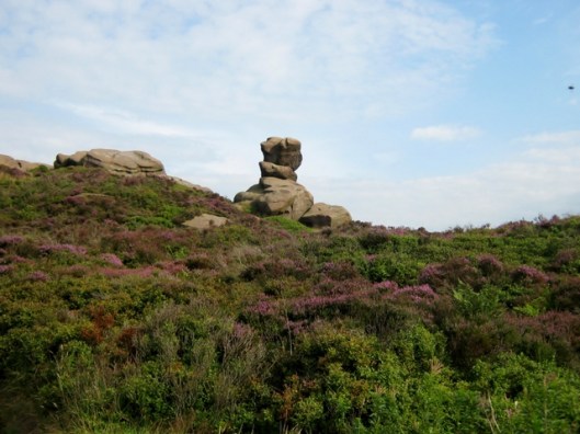 IMG_5450Top hat rock