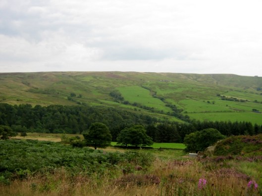 IMG_5459View from RamshawRocks