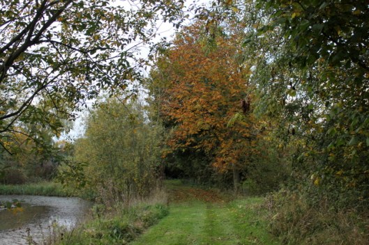 IMG_2508Path round pond