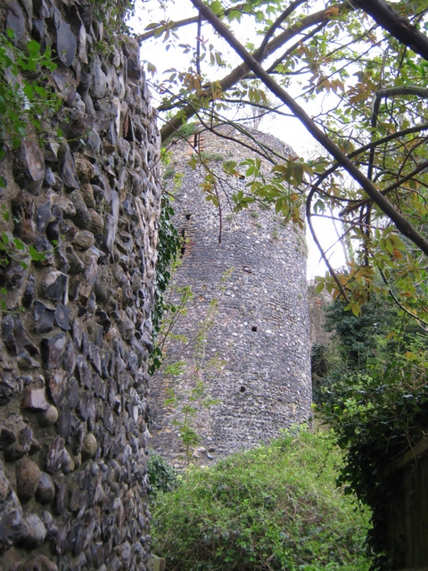 IMG_4519City wall & tower