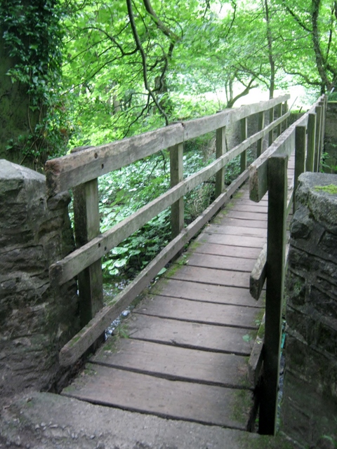 IMG_5556Wooden bridge