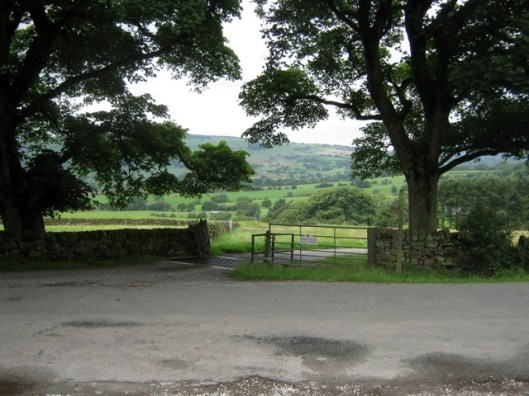 IMG_5557View from road at foot of Hen Cloud