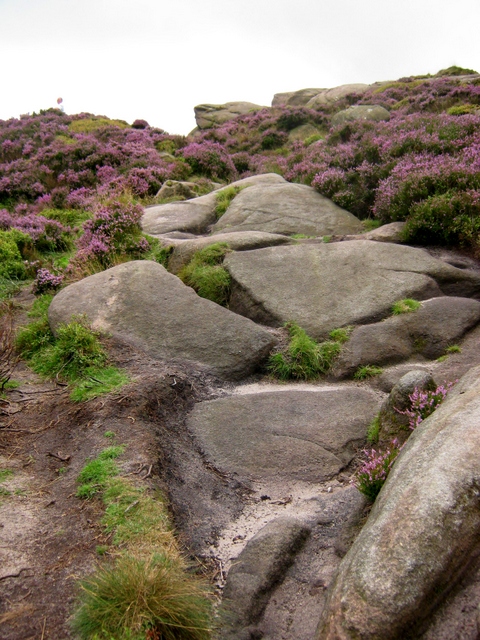 IMG_5565Climbing Hen Cloud