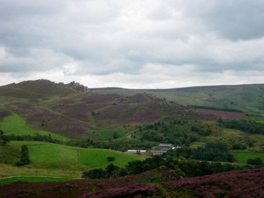 IMG_5566Ramshaw Rocks
