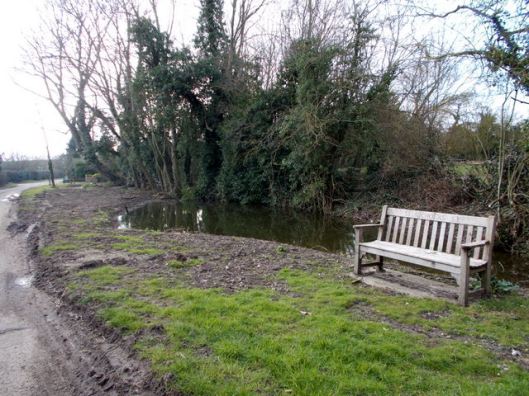 DSCN0279New pond-001