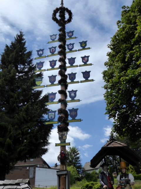 P1000810Schonwald Trades