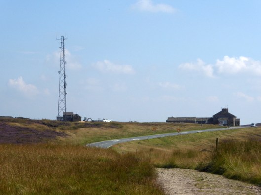 p1010184cat-and-fiddle