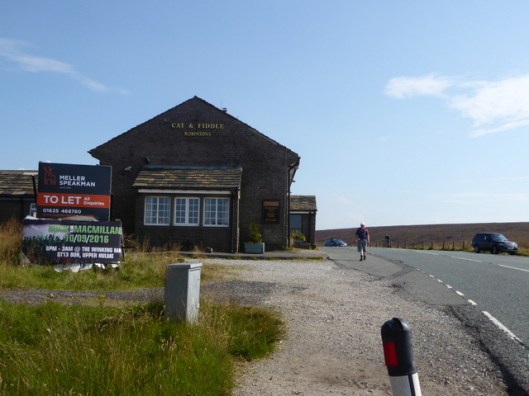 p1010190cat-and-fiddle