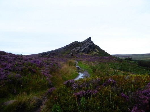 p1010217ramshaw-rocks