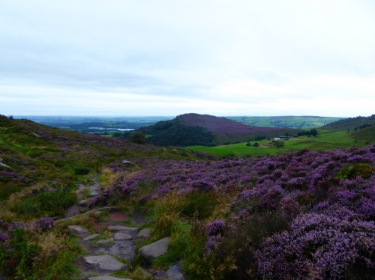 p1010218ramshaw-rocks