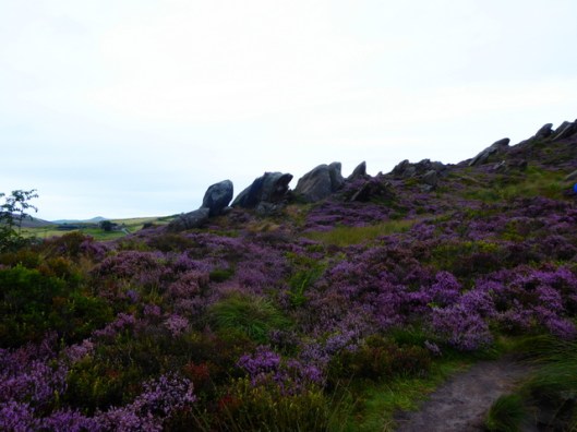 p1010219ramshaw-rocks