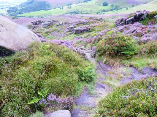 p1010223ramshaw-rocks