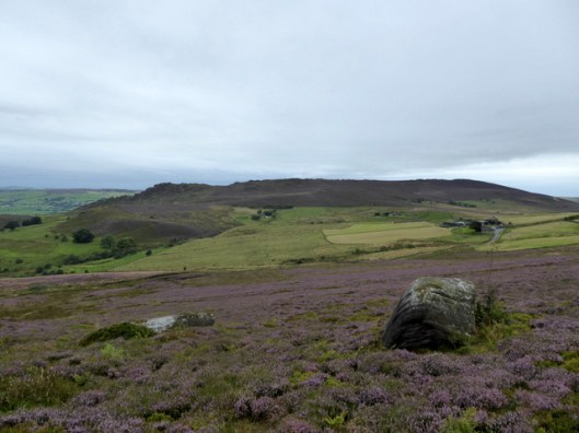 p1010228ramshaw-rocks