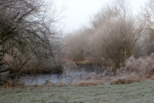 img_2821frost-and-fog