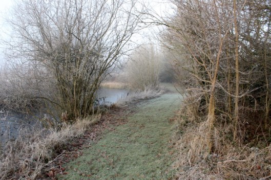 img_2827frost-and-fog