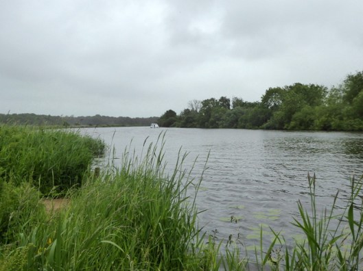p1000496strumpshaw-fen