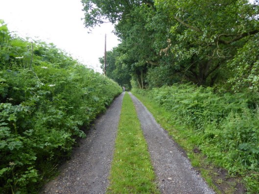 p1000534tinkers-lane