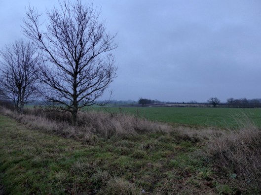 p1010589new-years-eve