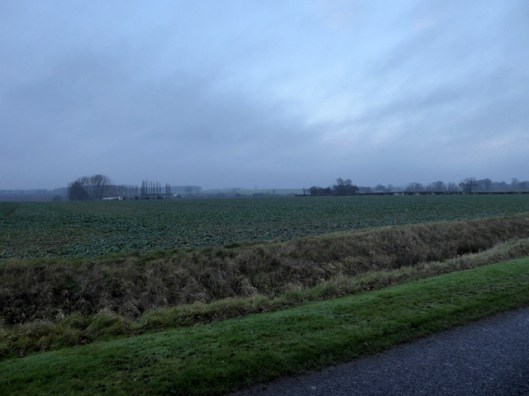 p1010590new-years-eve